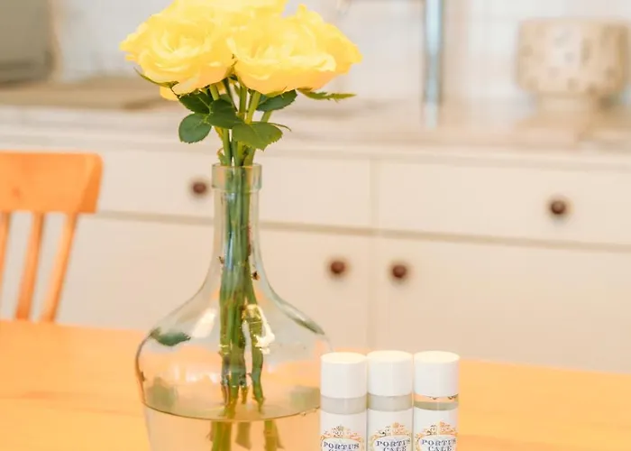 公寓 Breeze 波尔图